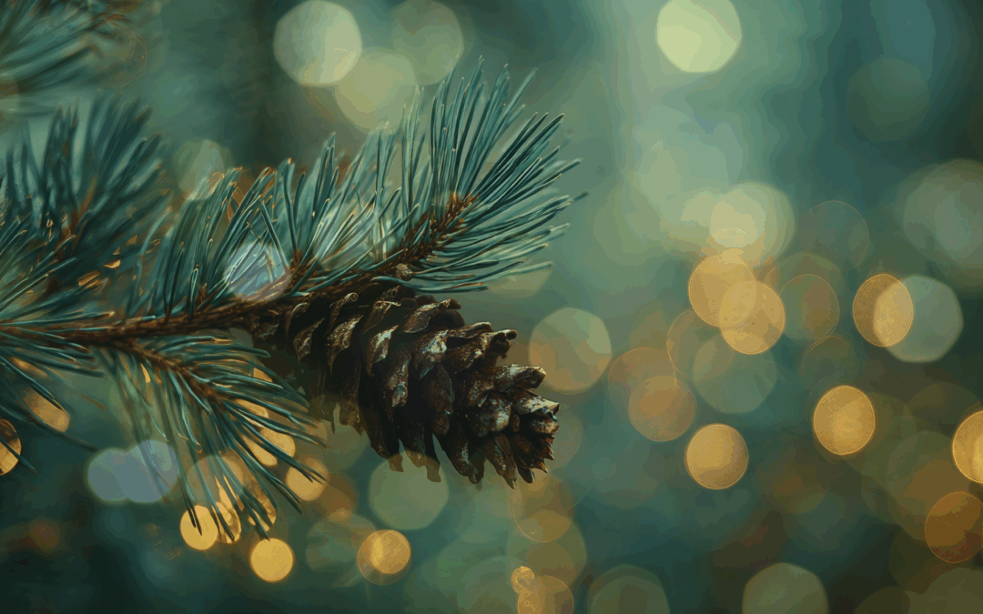 2025 Gift Guide for the Wellness, Business & Spiritual Lover in your Life🎄